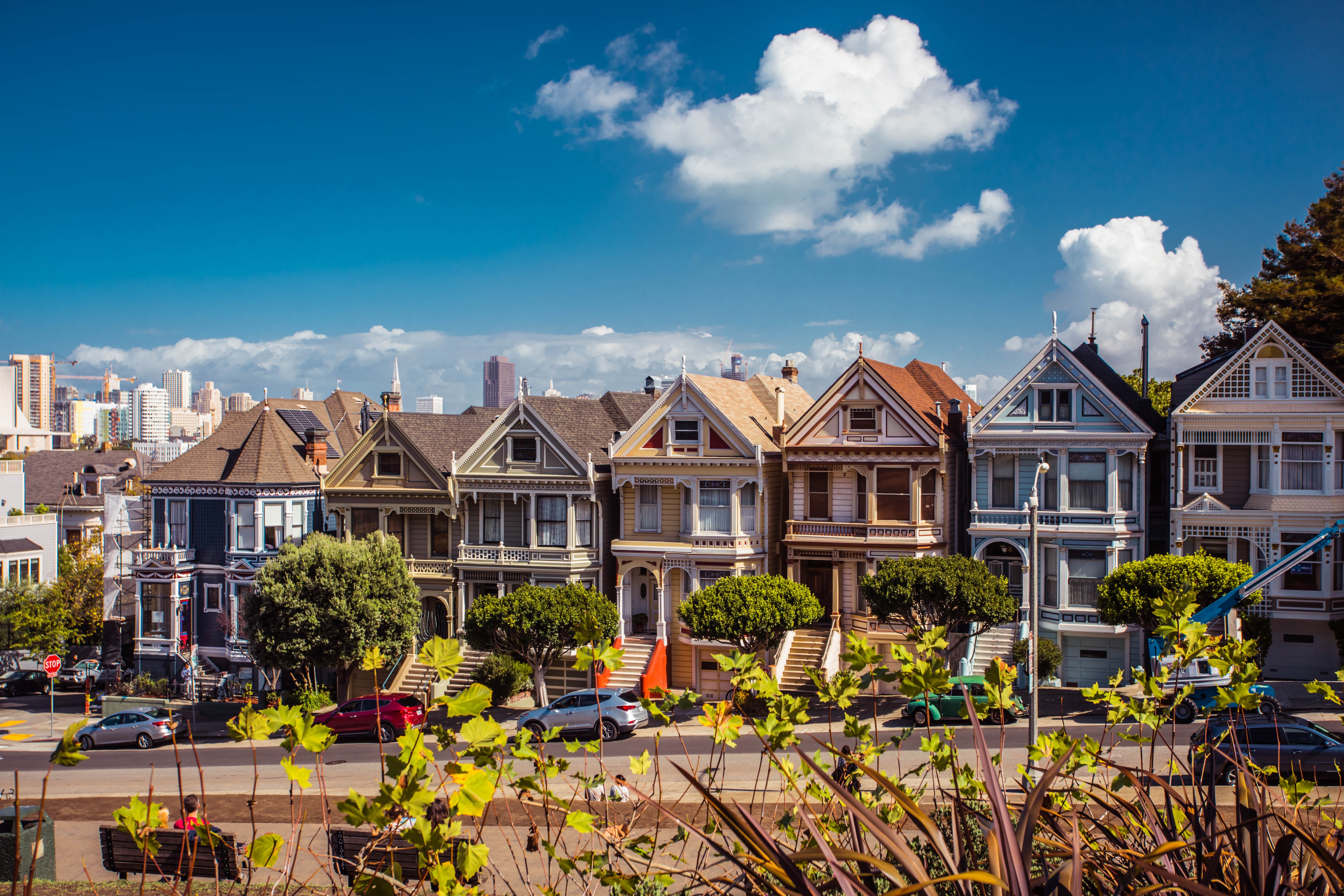 Painted Ladies of San Francisco