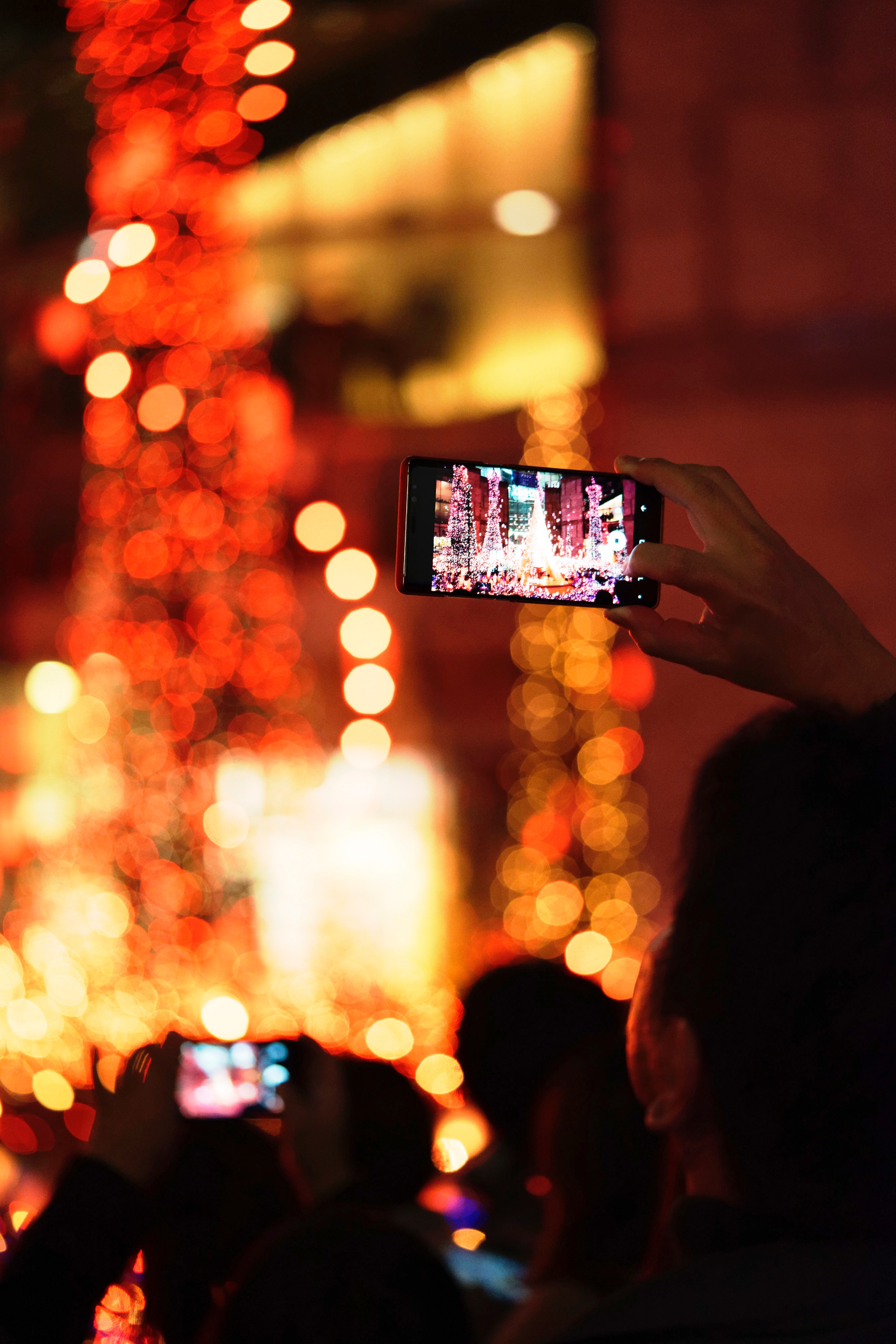 South Bay Holiday Lights