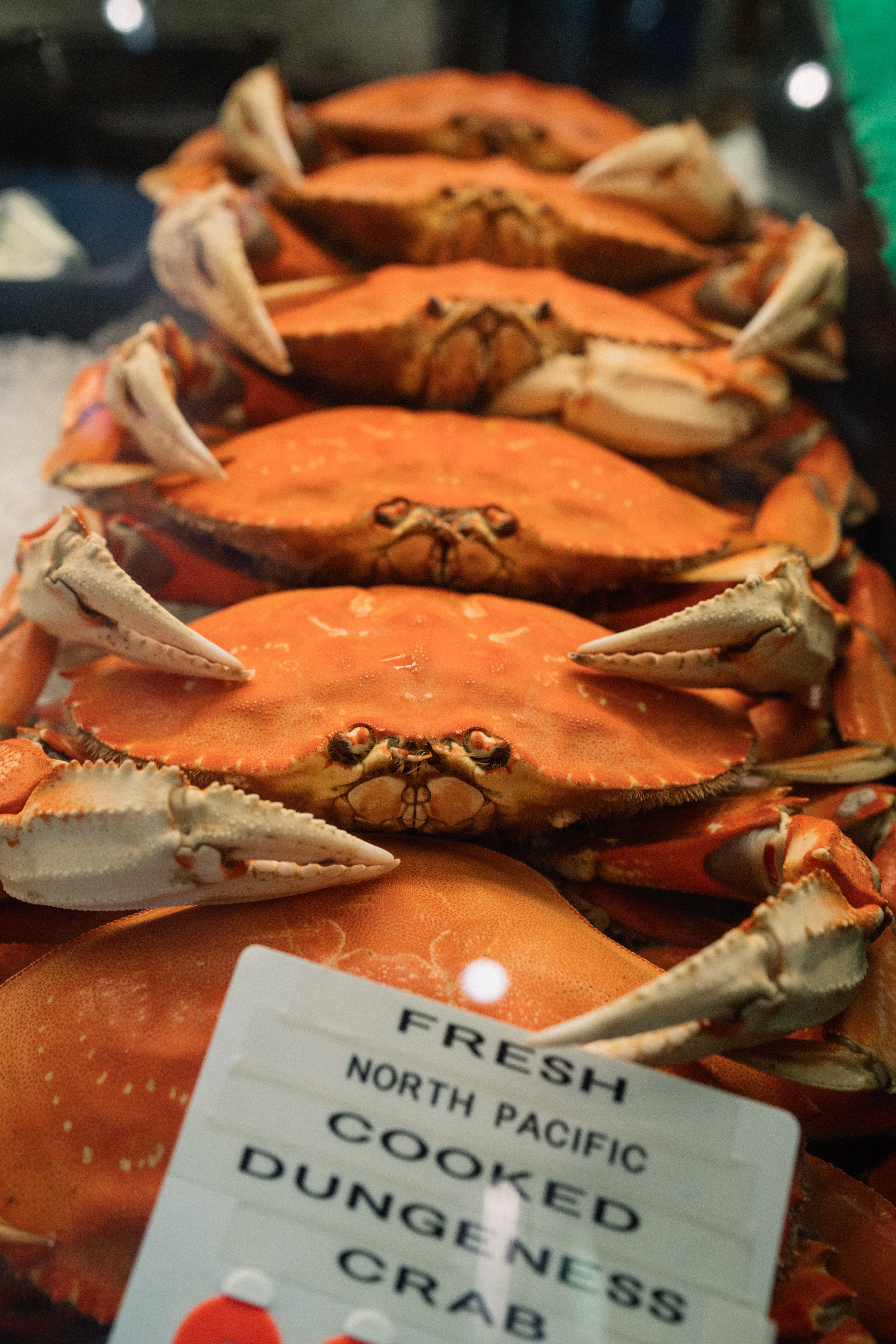 Fresh Dungeness Crab at Fisherman's Wharf