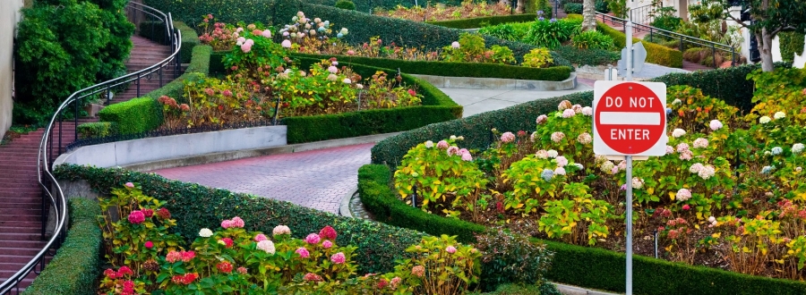 Lombard Street in San Francisco