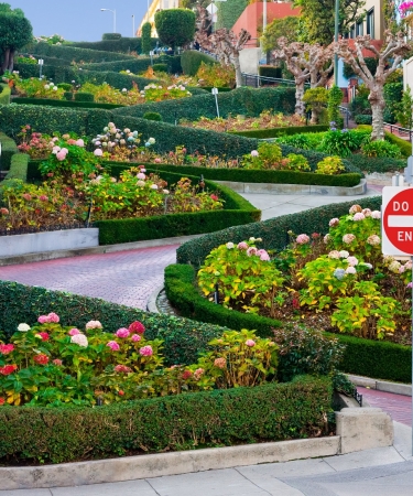 Lombard Street in San Francisco